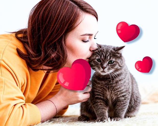 Любовь и кошки: за что мы их любим, как избежать обид, как распознать ответные чувства и показать заботу четвероногому другу